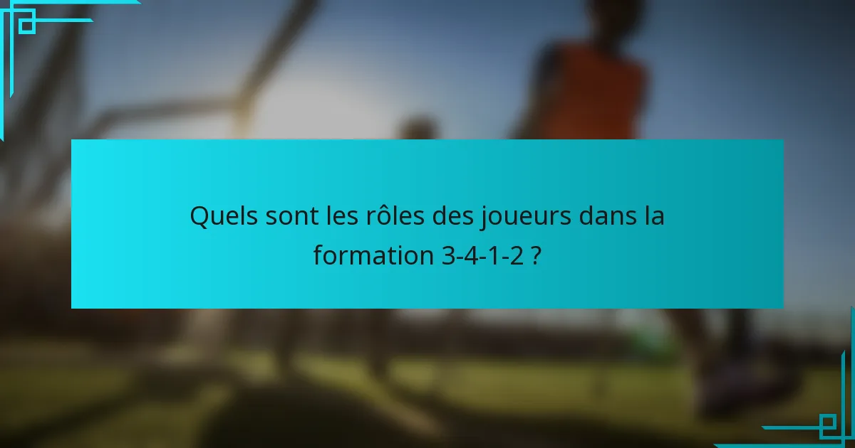Quels sont les rôles des joueurs dans la formation 3-4-1-2 ?