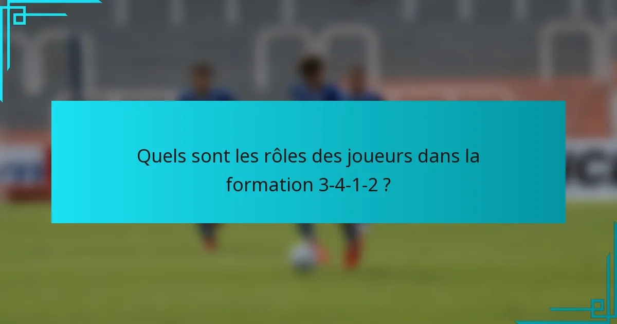 Quels sont les rôles des joueurs dans la formation 3-4-1-2 ?