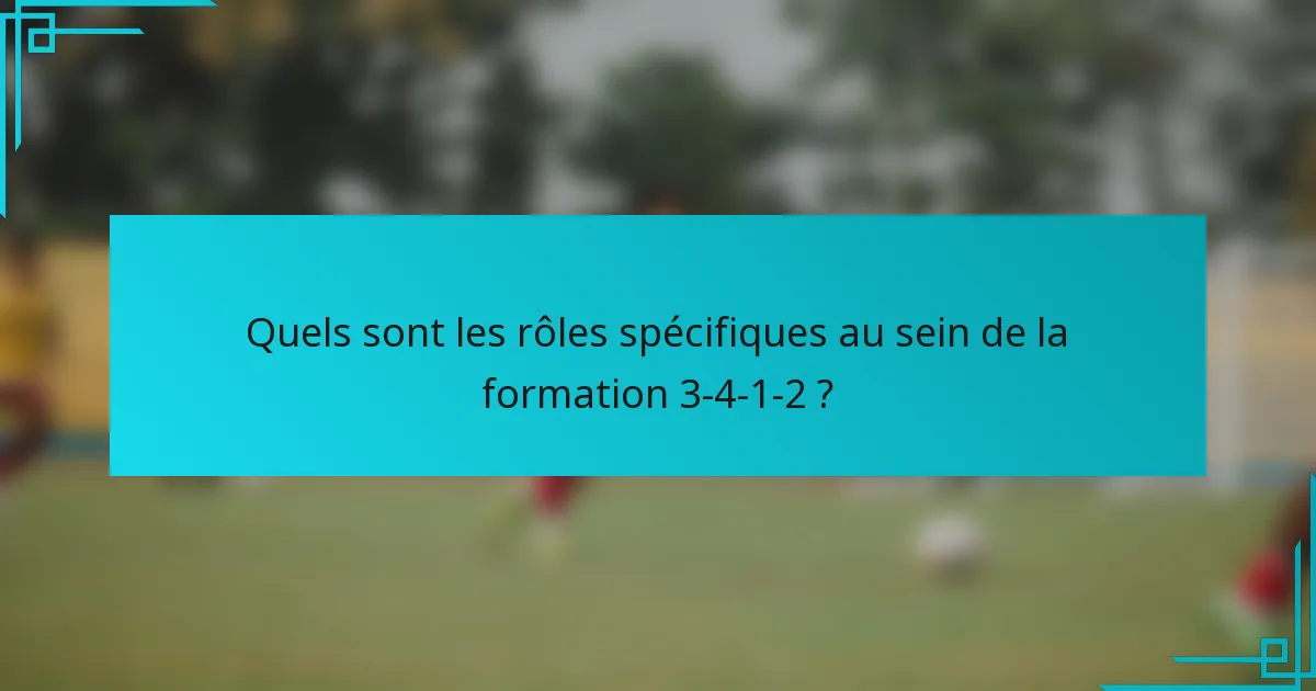 Quels sont les rôles spécifiques au sein de la formation 3-4-1-2 ?